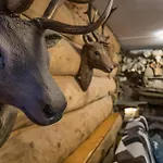 Oko * Zakopane