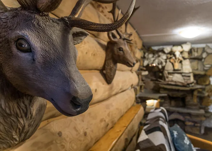 Oko * זקופאנה